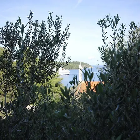 Apartments By The Sea Vis - 2470 Vis