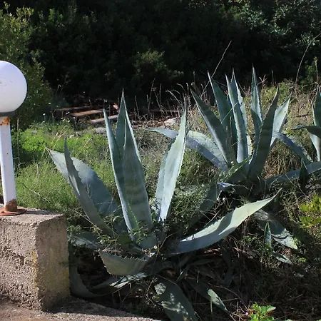 By The Sea - 2470 Vis